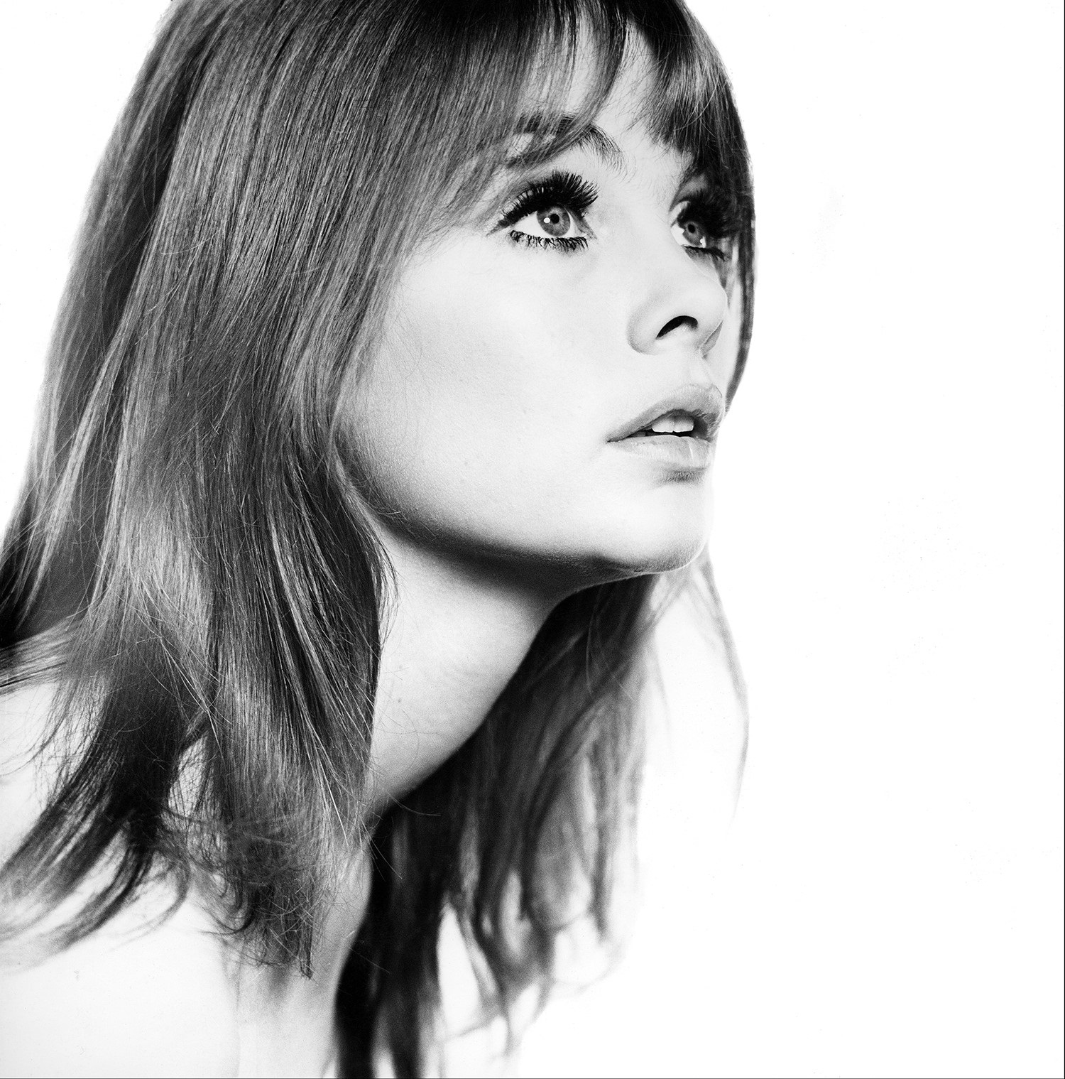 jean-shrimpton-dantemag